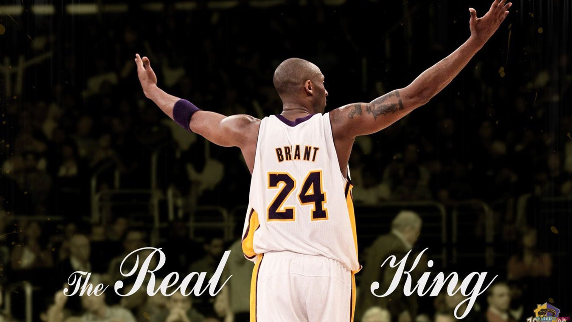 华体会官网体育-CBA赛季再度掀起全国热潮，cba赛季2021-2022