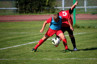 华体会官方-世界羽联超级赛中国选手表现优异,世界羽联超级赛中国选手表现优异吗